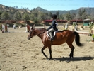 Horse Show98