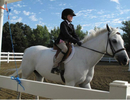 2010 Horse Show (7)