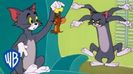 Tom si Jerry