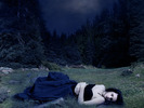 bella-swan-in-the-twilight-saga-new-moon_1280x960