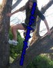 me in a tree