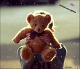 teddy3