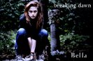 Breaking-Dawn01