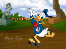 donald (3)