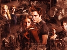 Twilight-twilight-series-3580868-800-600[1]