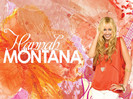 Hannah-Montana-Forever-Exclusive-Merchandise-Wallpapers-by-dj-hannah-montana-18346466-1024-768