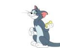 Tom si Jerry