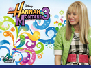 hM-3-hannah-montana-10957894-1024-768