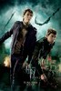 Harry_Potter_and_the_Deathly_Hallows_Part_2_1307623730_2011