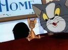 Tom si Jerry