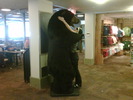 Big Bear Hug