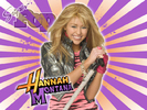 les-presento-a-HANNAH-MONTNA-hannah-montana-8628426-1024-768