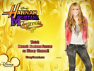 Hannah Montana Forever (173)