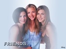 Friends-Wallpapers-friends-3465850-1024-768