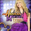 Hannah Montana Forever (101)