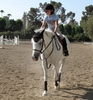 2010 Horse Show (9)