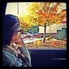 Hi Sacramento, I like your leaves and breeze..