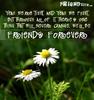 Friends-forever-card-4