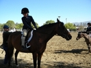 Horse Show16