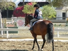 Horse Show23