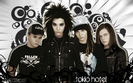 TH-tokio-hotel-1953114-500-313