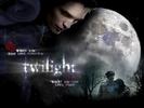 Twilight-wallpapers-twilight-guys-2532508-1010-758[1]