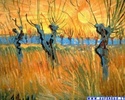 vincentvangogh014