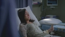 Grey\'s anatomy (2)