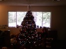 our christmas tree