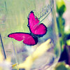 fly ..butterfly~