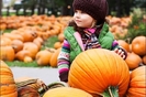 At the pumpkin farm